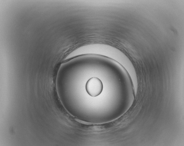 X0000116790320200912241207