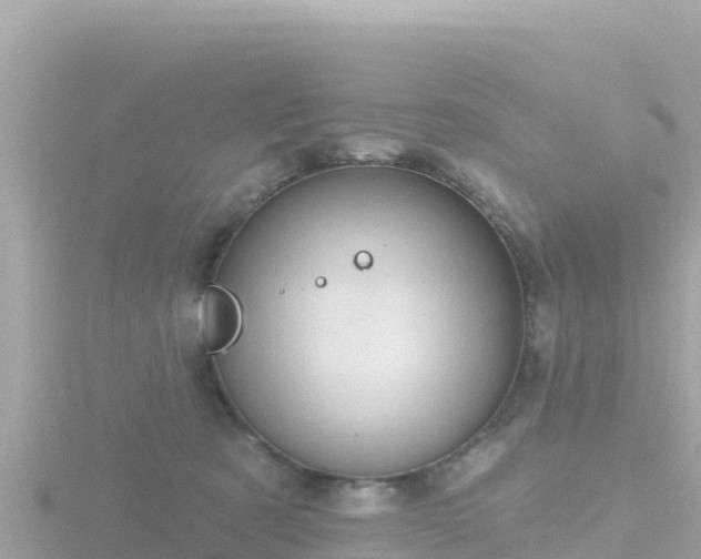 X0000116790321200912241207