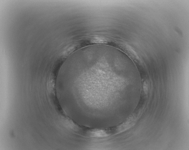 X0000116790322200912241207