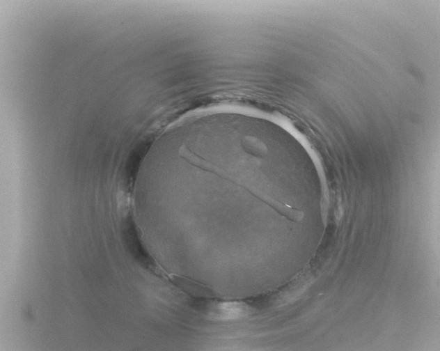 X0000116790324200912241207