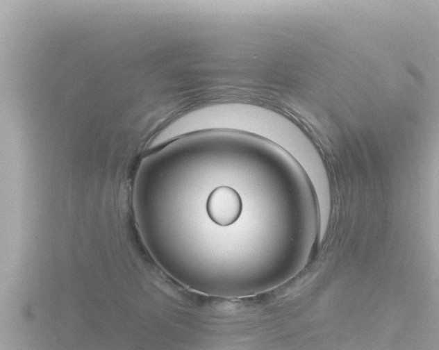 X0000116790325200912241207