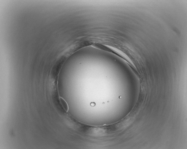 X0000116790327200912241207