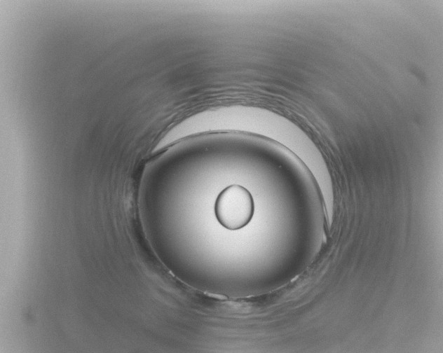 X0000116790328200912241207