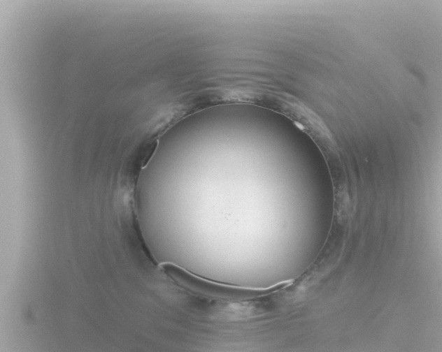 X0000116790329200912241207