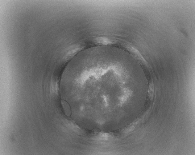 X0000116790330200912241207