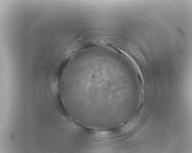 X0000116790332200912241207