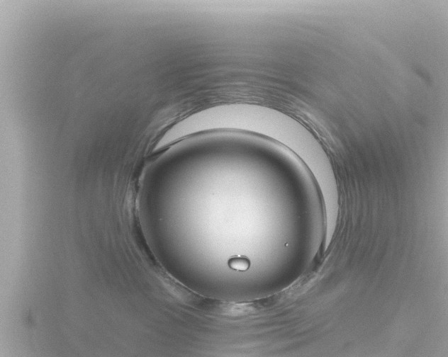 X0000116790333200912241207