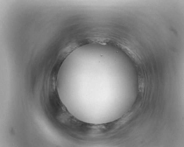 X0000116790334200912241207