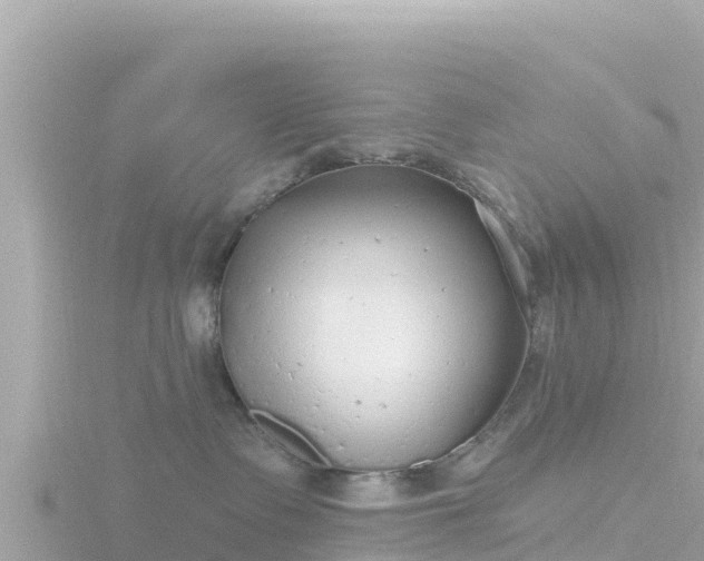 X0000116790335200912241207