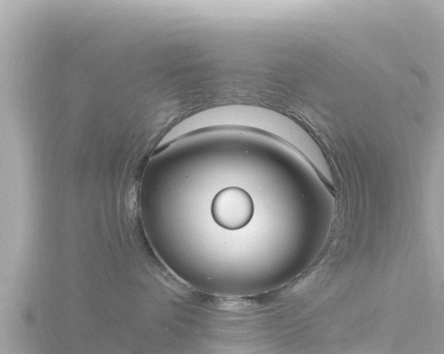 X0000116790336200912241207