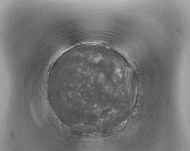 X0000116790337200912241206