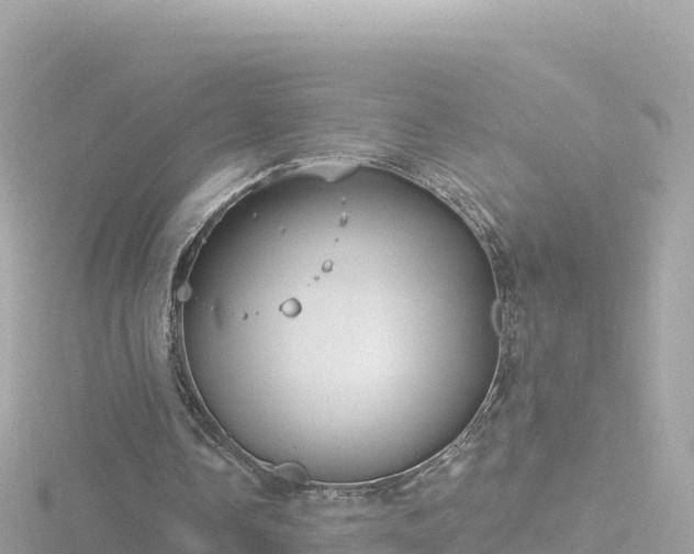 X0000116790338200912241206