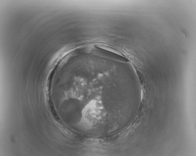 X0000116790339200912241206