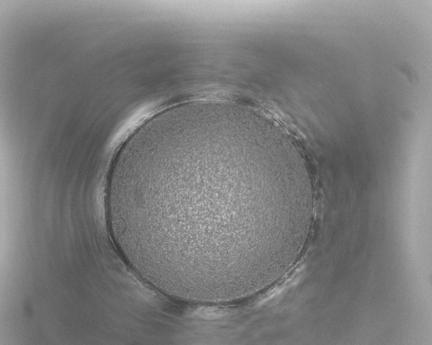 X0000116790341200912241206