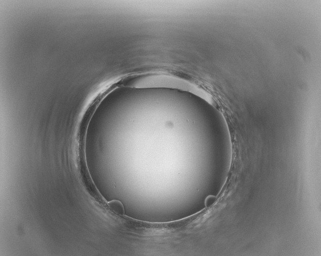 X0000116790342200912241206