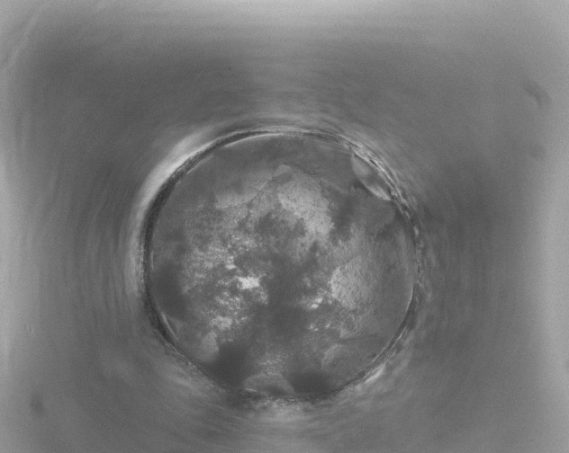 X0000116790343200912241206