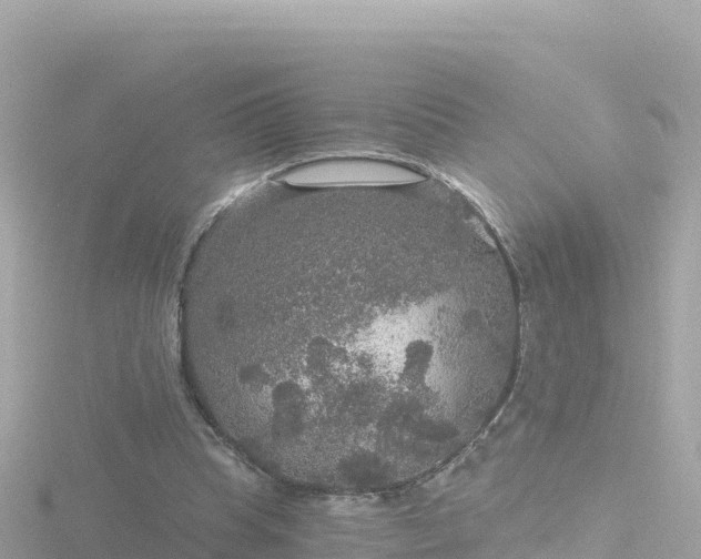 X0000116790345200912241206