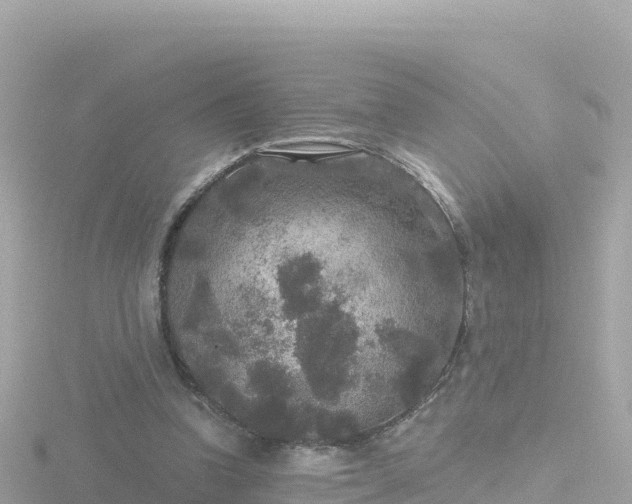 X0000116790346200912241206