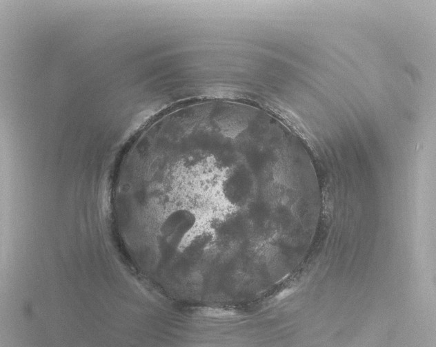 X0000116790347200912241206