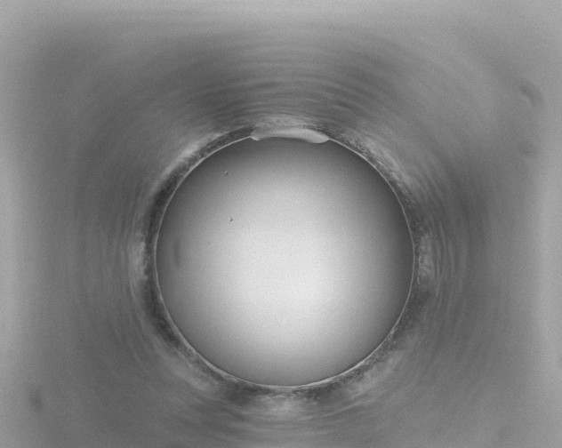 X0000116790351200912241206