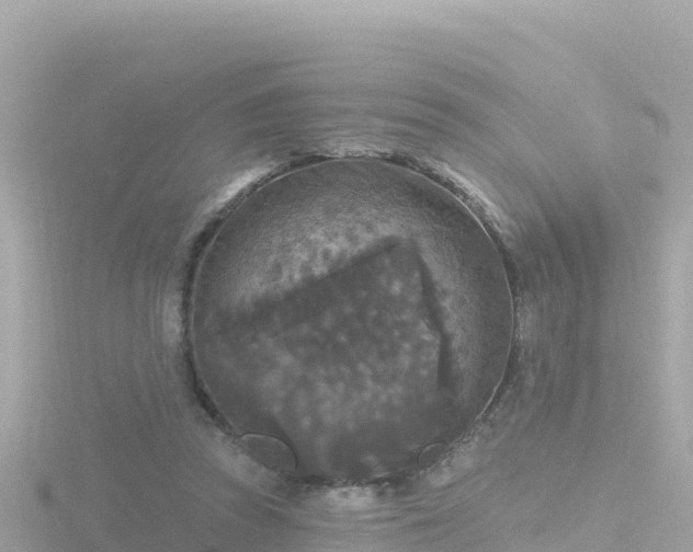 X0000116790353200912241206