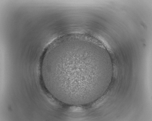 X0000116790354200912241206