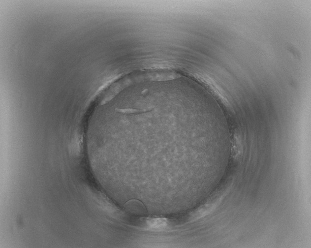 X0000116790355200912241206