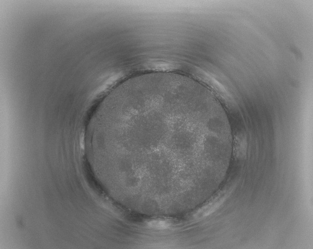 X0000116790358200912241206