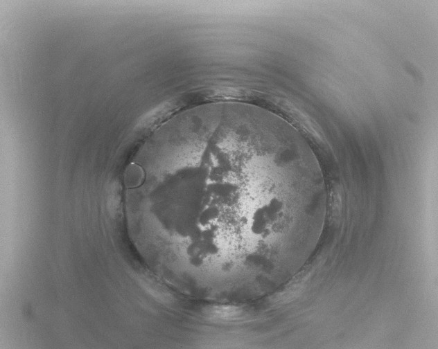 X0000116790361200912241206