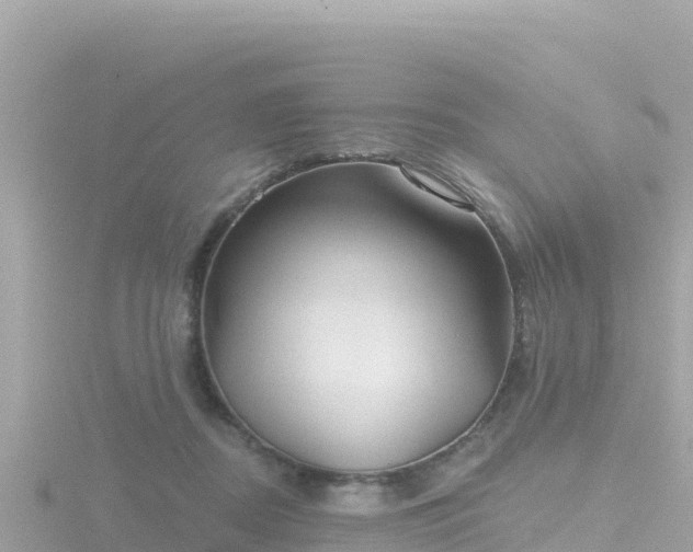 X0000116790362200912241206