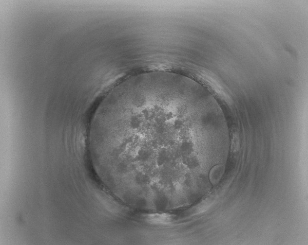 X0000116790363200912241206