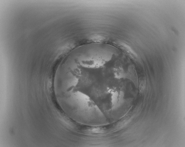 X0000116790365200912241206