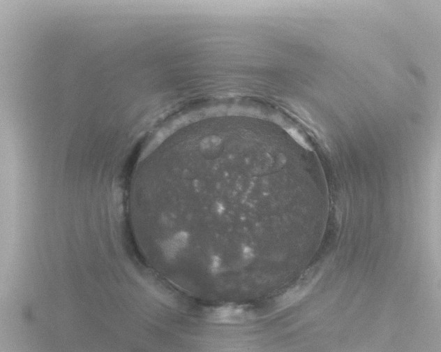 X0000116790366200912241206