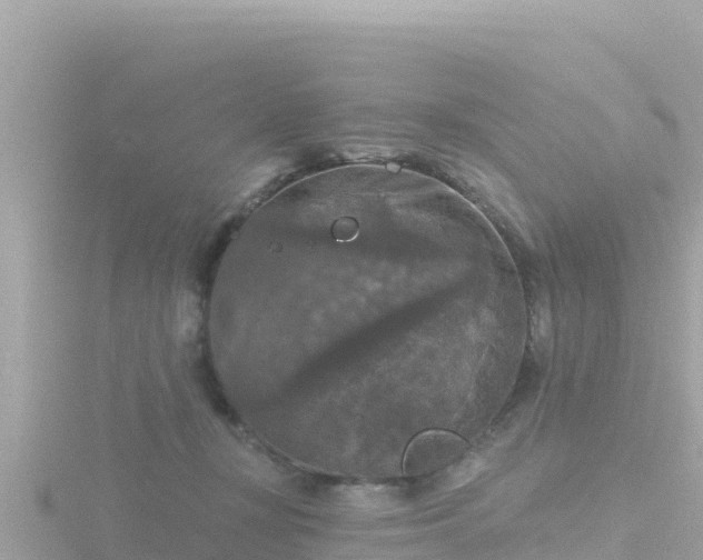 X0000116790367200912241206