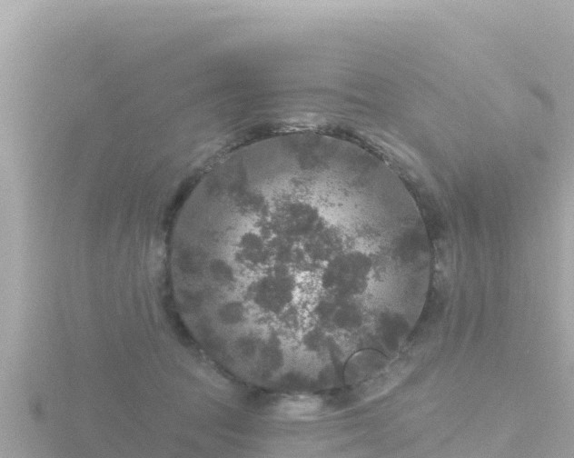 X0000116790369200912241206