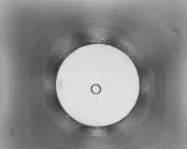 X0000116790370200912241206