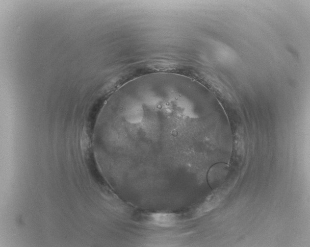 X0000116790371200912241206