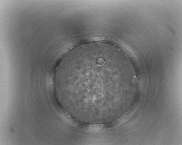 X0000116790373200912241206