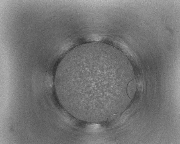 X0000116790374200912241206