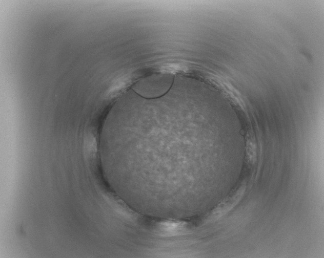 X0000116790375200912241207