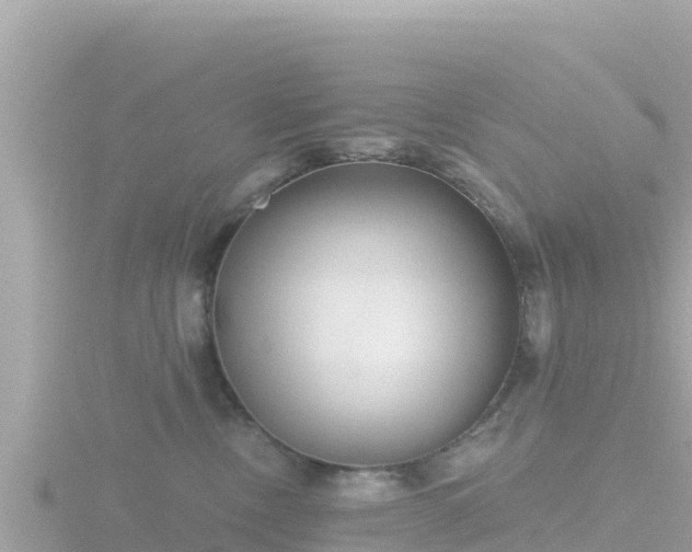 X0000116790378200912241207