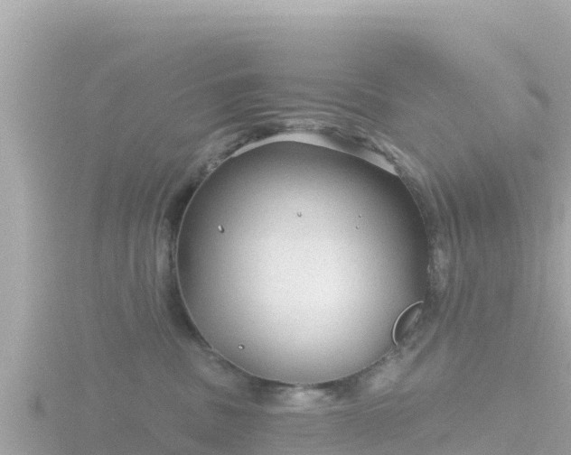 X0000116790379200912241207