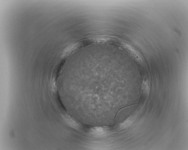 X0000116790381200912241207