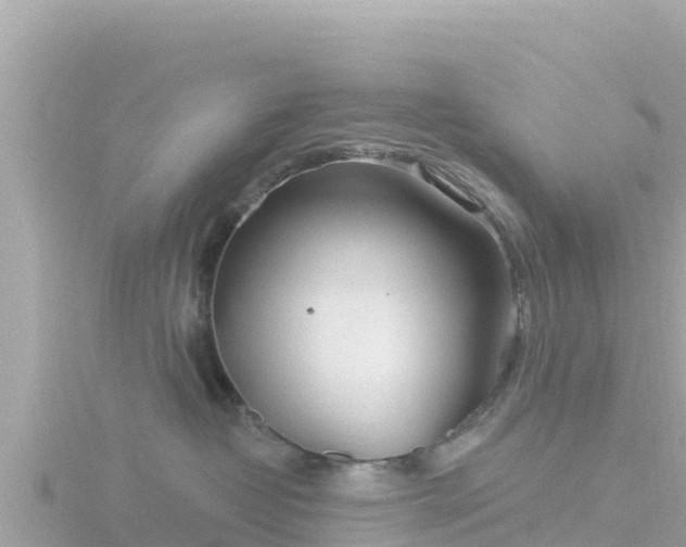 X0000116790382200912241207