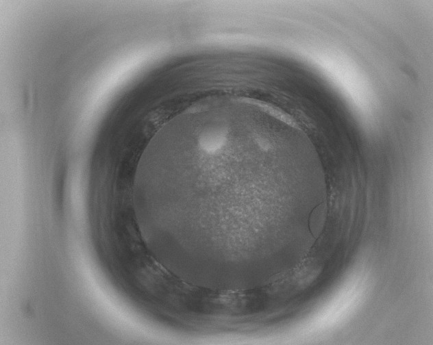 X0000116790383200912241207