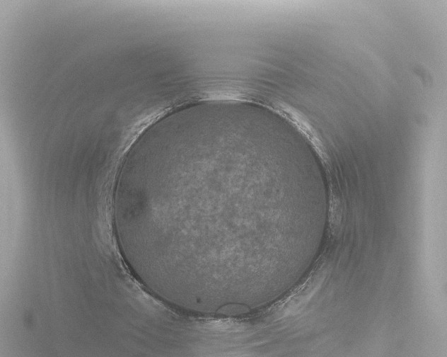 X0000116790385200912241206