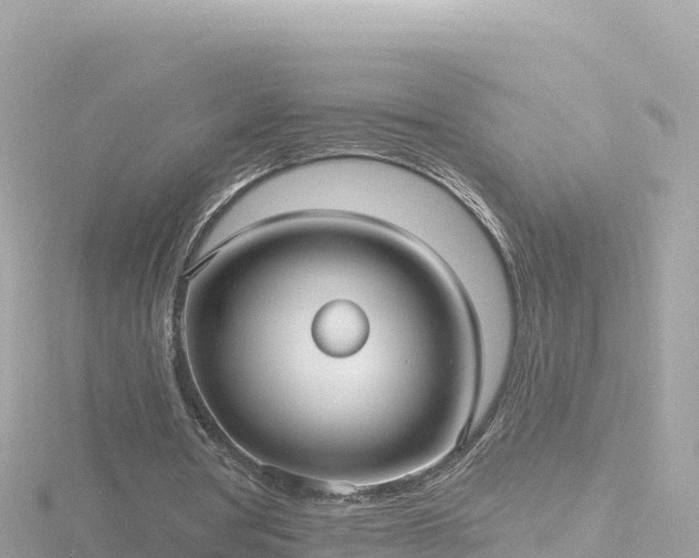 X0000116790386200912241206