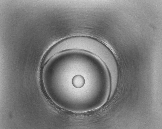 X0000116790387200912241206