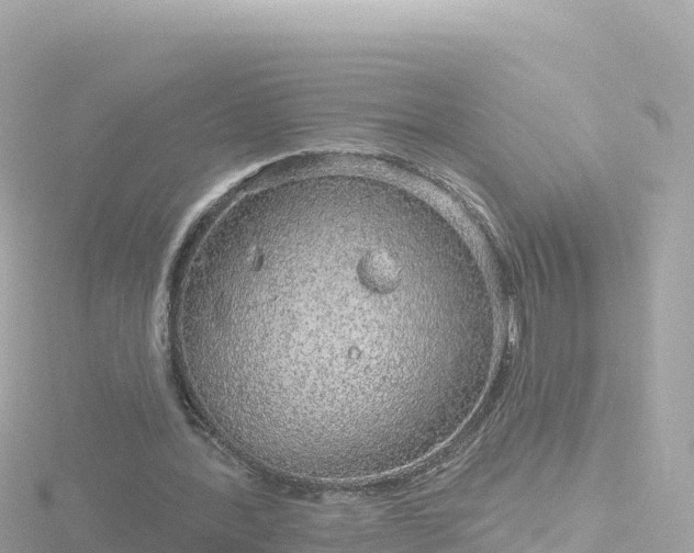 X0000116790388200912241206