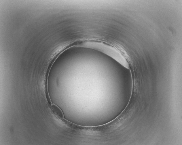 X0000116790389200912241206